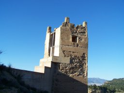 Castillo de Pliego 2009